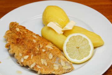 Redfish fillet with almond crust, potatoes, melted butter and lemon