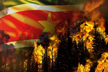 Forest fire natural disaster concept - heavy fire in the trees on Suriname flag background - 3D illustration of nature