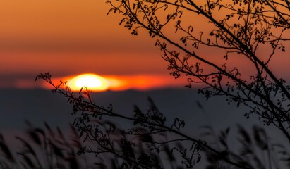 Sunset © Piotr