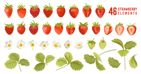 Strawberry vector illustration set. Watercolor cute berry, flowers, leaves isolated. Summer garden design elements