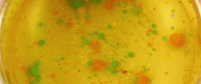 Macro Textures with Vibrant Neon Color Palette. Abstract Background Made with Oil Mixed with Dye, Ink, and Paint.