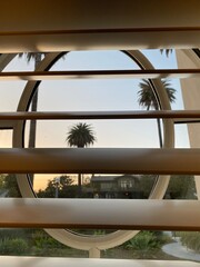 looking out a window at a palm tree silhouetted by the sunset