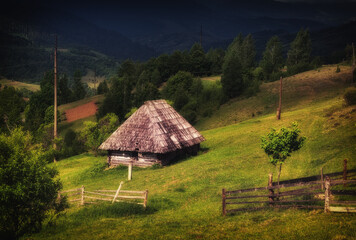 Fototapeta na wymiar Summer day in the mountains. Carpathian, Ukraine, Europe.