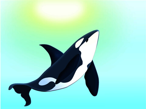 A vector image of big Whale is swimming under clear blue water, while the sunlight from above ocean shining into the sea. Illustration art project.
