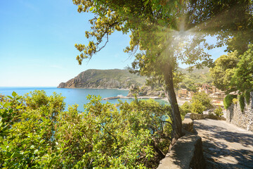 View from hiking trail to beautiful coastline and beach of mediterranean sea near village Monterosso al Mare in early summer, Cinque Terre Liguria Italy Europe - 428675169