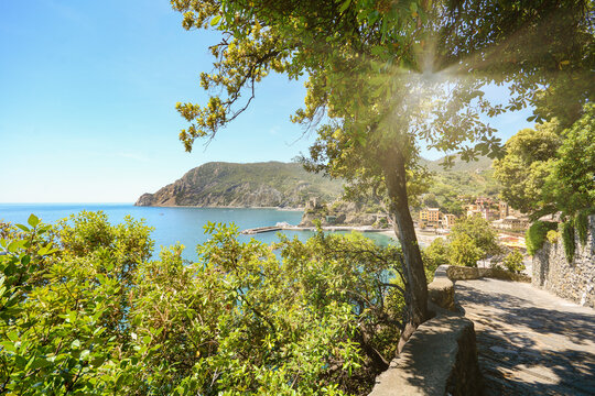 View from hiking trail to beautiful coastline and beach of mediterranean sea near village Monterosso al Mare in early summer, Cinque Terre Liguria Italy Europe