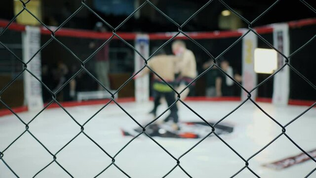 Blurred fighters fight in the octagon, knockout and win, mixed martial arts competition tournament in cage