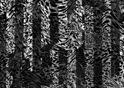 leopard print © TT3 Design
