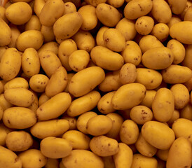 A vertical shot of a stack of potatoes