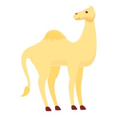 Muslim camel icon. Cartoon of Muslim camel vector icon for web design isolated on white background