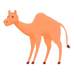 Hump camel icon. Cartoon of Hump camel vector icon for web design isolated on white background