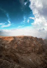 landscape  and animals