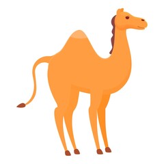 Funny camel icon. Cartoon of Funny camel vector icon for web design isolated on white background