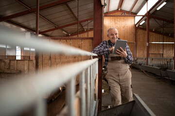 Portrait of senior farmer using tablet computer and observing domestic animals in farmhouse.