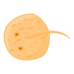 Wild stingray icon. Cartoon of Wild stingray vector icon for web design isolated on white background