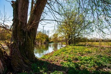 spring in the park