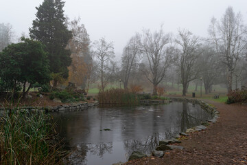 pond in the park
