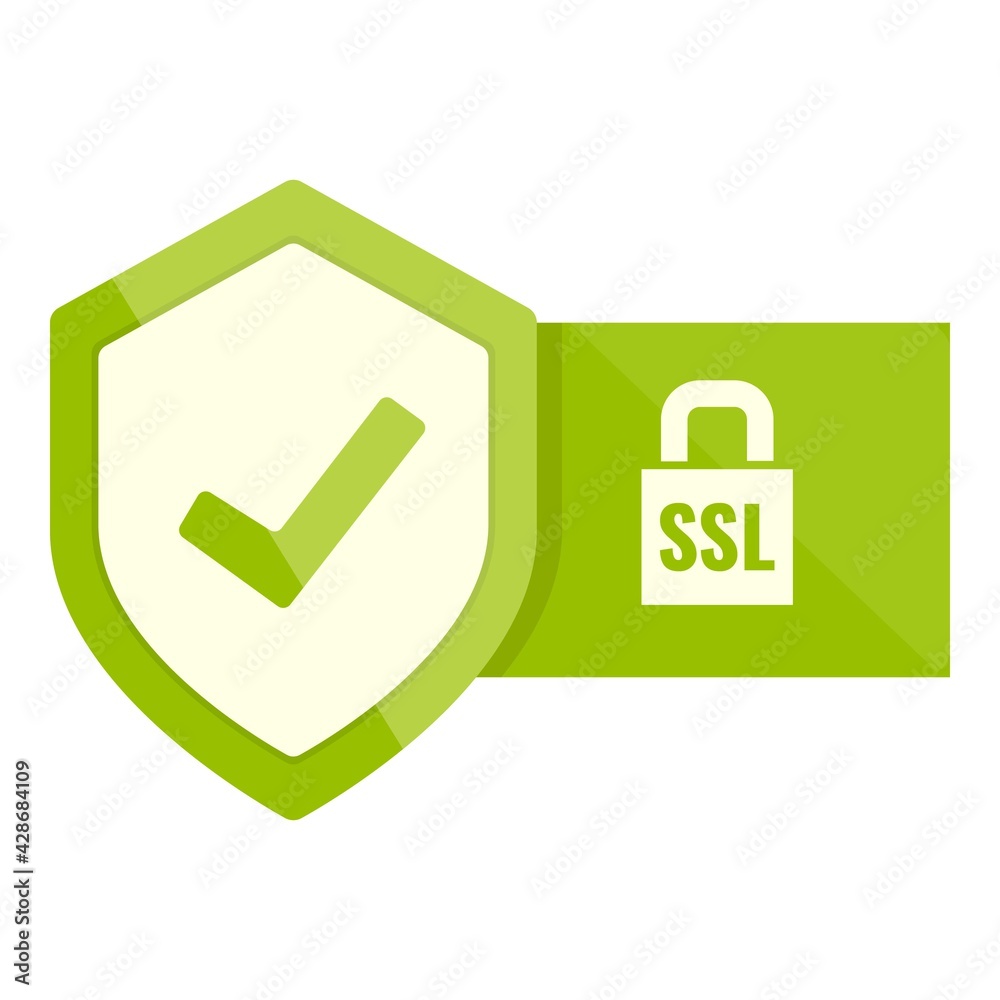 Poster key ssl certificate icon. cartoon of key ssl certificate vector icon for web design isolated on whit