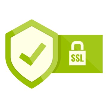 Key ssl certificate icon. Cartoon of Key ssl certificate vector icon for web design isolated on white background