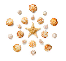 Pattern in the form of a circle of sea shells and starfish isolated on a white background.