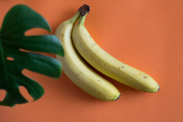 banana fruit and monstera plant on the background