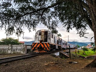 Trem do Forr&oacute; - Senhor do Bonfim BA