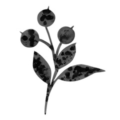Hand drawn watercolor illustration with blueberries and leaves isolated on white. Perfect for greeting cards, postcards, logo, textile, fabric, packaging, wrapping paper and other design.
