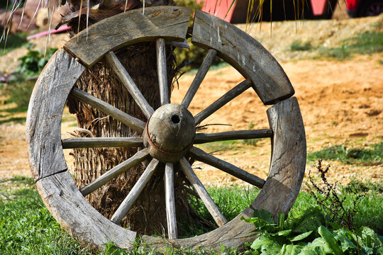 old wooden cart, wagon wheel on horse farm