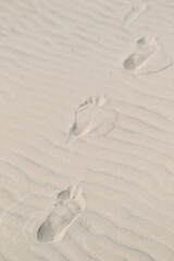 footprints in the sand