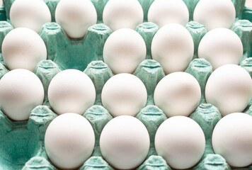 Eggs in a row, Eggs on a white background