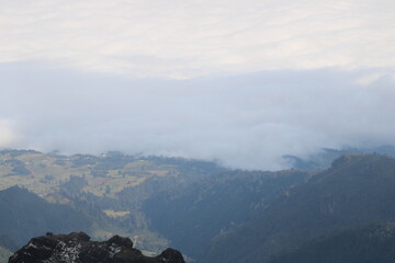 Neblina
