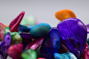 Abalone Shells for Jewelry