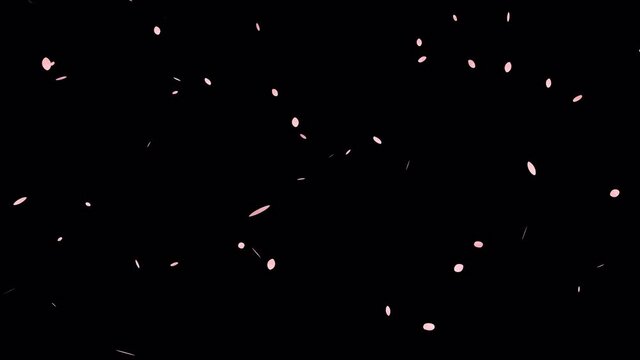4k video footage of falling cherry blossoms with the alpha channel.