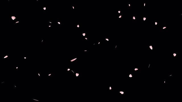 4k video footage of falling cherry blossoms with the alpha channel.