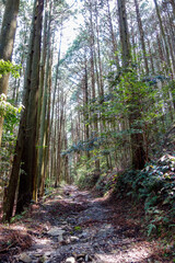 登山　イメージ