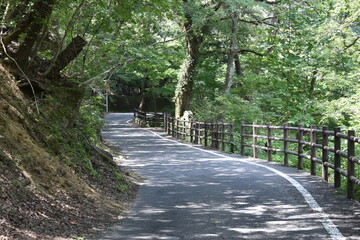 Mountain road