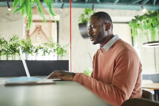 Side View Portrait Of Adult African-American Man Using Laptop In Modern Cafe Interior Decorated With Fresh Green Plants, Copy Space