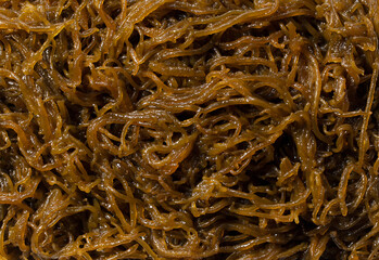 Close up of mozuku. View from directly above.