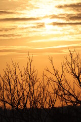 sunset over the river