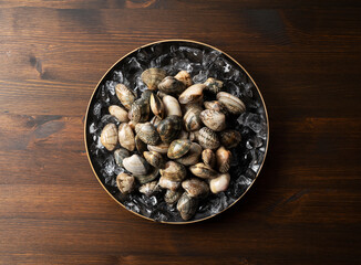 Ice and asari clams in a plate on a wooden background