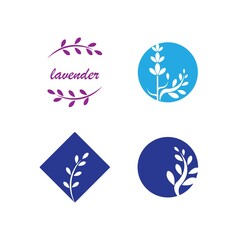 Lavender flower Vector icon illustration design Template
