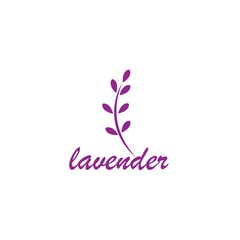 Lavender flower Vector icon illustration design Template
