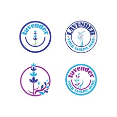 Lavender flower Vector icon illustration design Template
