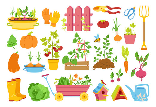 Garden flat cartoon set. Vegetables growing soil in pot, rustic fence. Rubber boots, pitchfork and gloves, secateurs. Garden cart, birdhouse and watering can. Hand drawn Isolated vector illustration