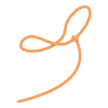 Wild lasso icon. Cartoon of Wild lasso vector icon for web design isolated on white background