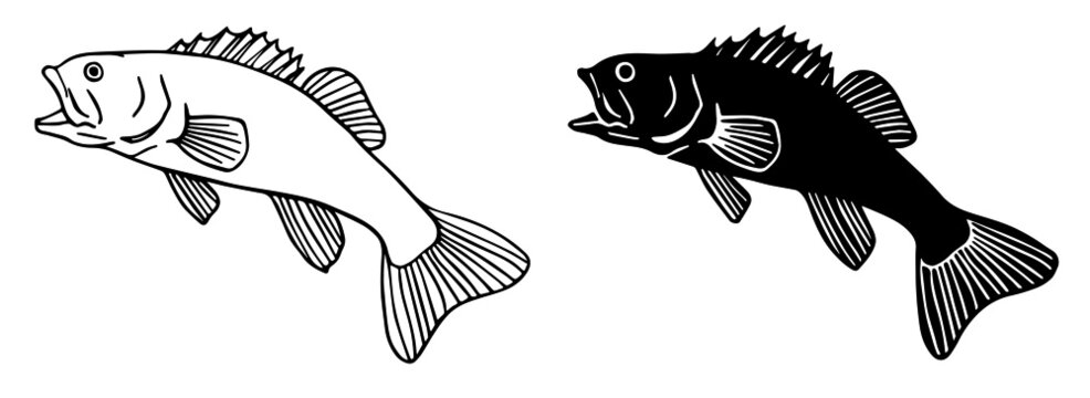 Free Free 108 Outline Bass Fish Svg SVG PNG EPS DXF File