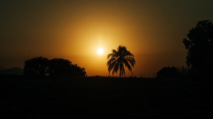 sunrise and sunset in the backlit countryside, with the sun behind a coconut palm tree and the...