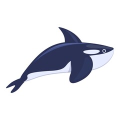 Killer whale icon. Cartoon of Killer whale vector icon for web design isolated on white background
