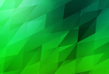 Dark Green vector layout with lines, rectangles.