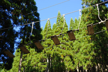 森の中の吊橋のフィールドアスレチック